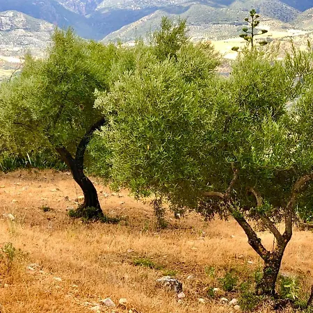 Σπίτι διακοπών El Oasis *