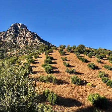 El Oasis Algodonales